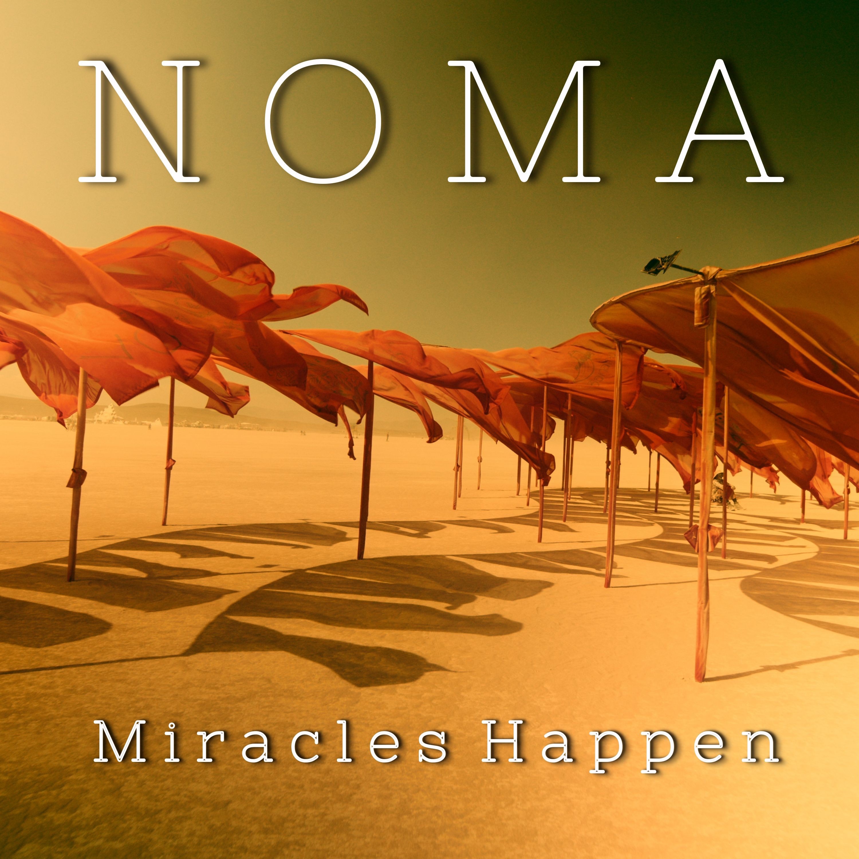 Miracles Happen - Single