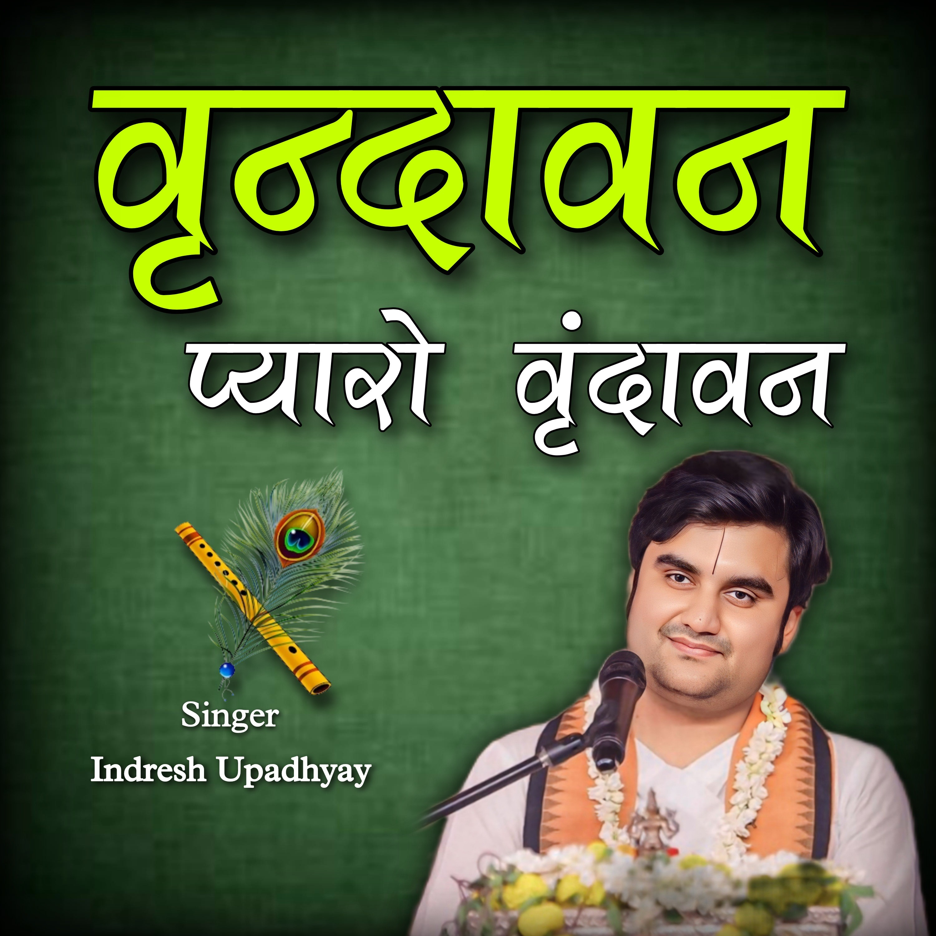 Vrindavan Pyaro Vrindavan - EP