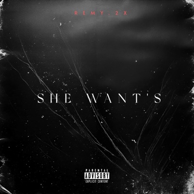 She Want's - Single