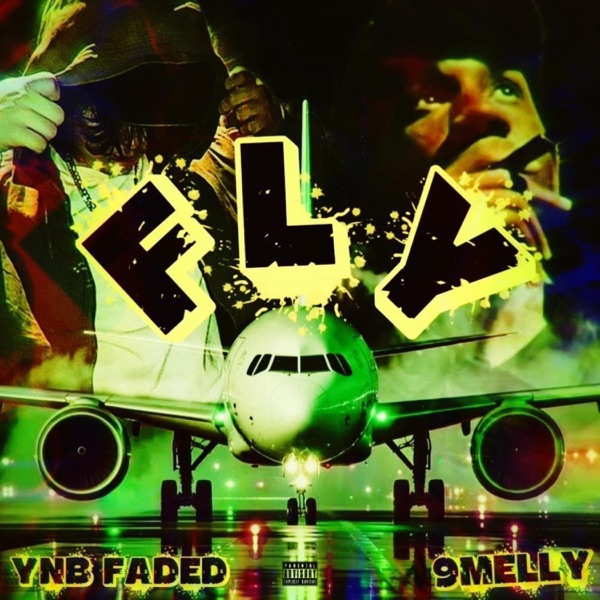 FLY (feat. 9Melly)