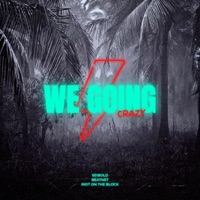 We Going Crazy - EP - Seibold & Riot on the Block