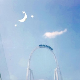 Roller Coaster Stephen Curtis