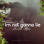 Im not gonna lie (feat. Njilour) - Single