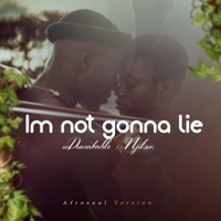 Im not gonna lie (feat. Njilour) - Single - UDUMAKAHLE