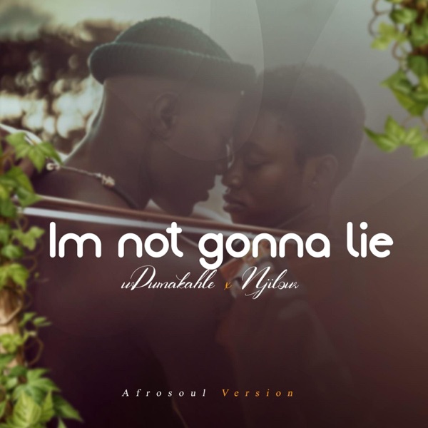 Im not gonna lie (feat. Njilour)