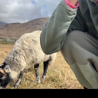 Laugh n celeb (pblaz3up) - Single