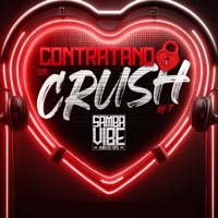 Contratando um Crush (Ao Vivo) - Single - Samba Vibe