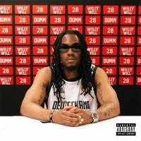 Dumm - Single - Willy Will