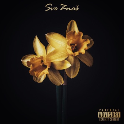 Sve Znaš - Single