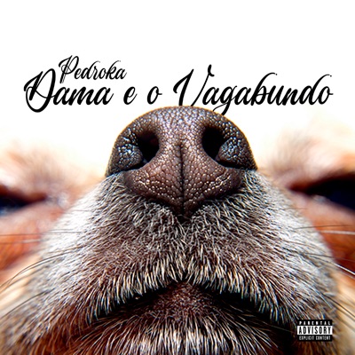 Dama e o Vagabundo - Single