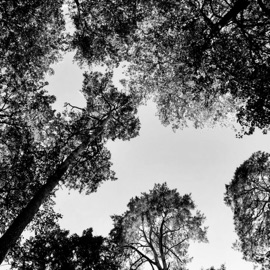 Мы мыслим одинаково Юрий Шадаев