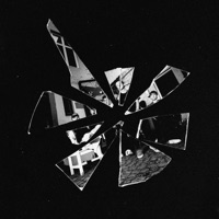 REAL LIFE ISSUES - Single - Avgvstvs & FRAM