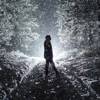 Willfully Blind - Max McNown