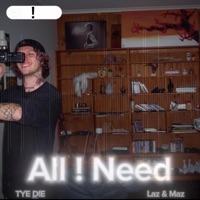 all ! need (feat. Laz&Maz) - Single - TYE D!E