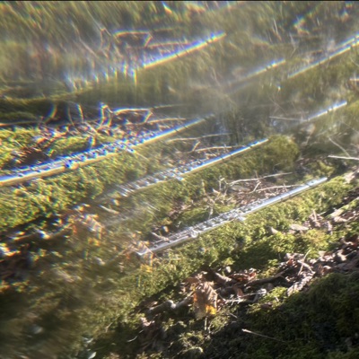 The Smell of Rain - Single