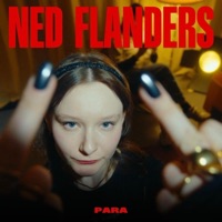 Ned Flanders - Single - PARA, esisthauke & Pessi