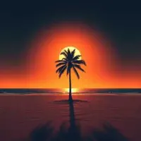 My Sunshine Reggae — Trollip & Crew