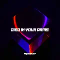 Died In Your Arms