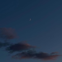 home is us - Single - 96 Zeus & after noon