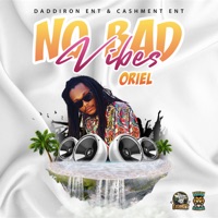 No Bad Vibes - Single - Oriel