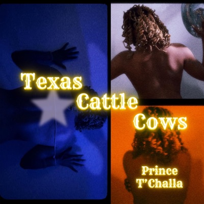 Texas Cattle Cows - Single