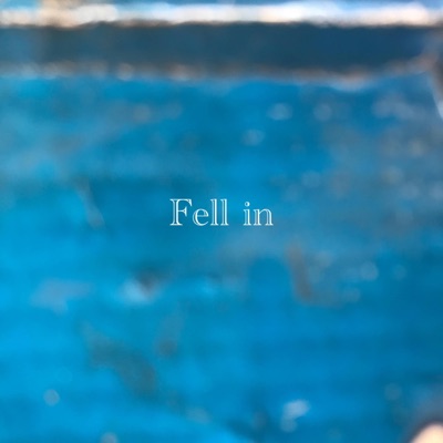 VDJSAM - fell in