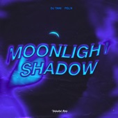 Moonlight Shadow (Techno) artwork