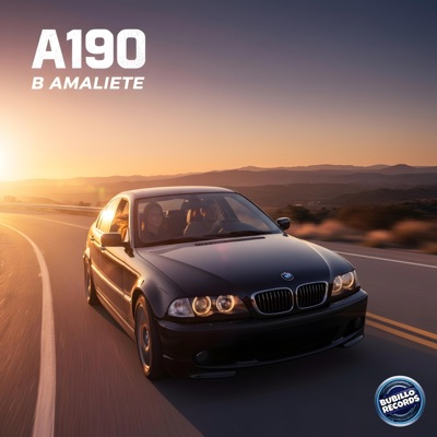 A 190 - Single