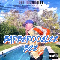 B22 - Single - Barberooel22