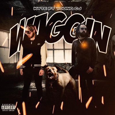 WAGGIN (feat. Young CJ) - Single