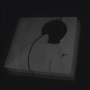 The Hunter (Remixes) - Single