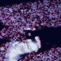 Reliance - Single - amazi & Dove鸽子