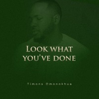 Look What You've Done - Single - Timons Omonokhua