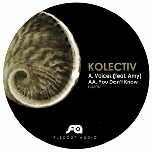 Voices / You Don't Know (feat. Amy) - Single