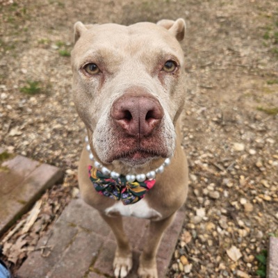 Graduation Day (feat. Sac) - Single