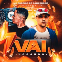 Vai Jogando (feat. Mc Rodrigo Do Campanario) - Single - DJ Vinny TR