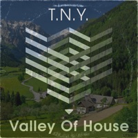 Valley of House - Single - TNY