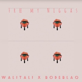 Free My N****s (feat. BODE BLAQ) Walitali
