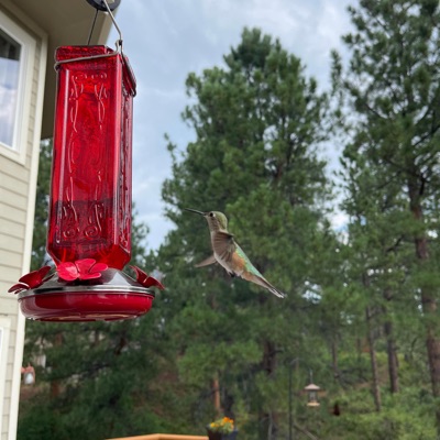 The Ostinauto - Single