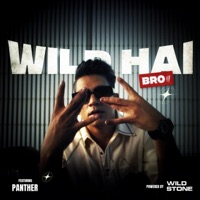 Wild Hai Bro!!! - Single - WILD HAI BRO & Panther