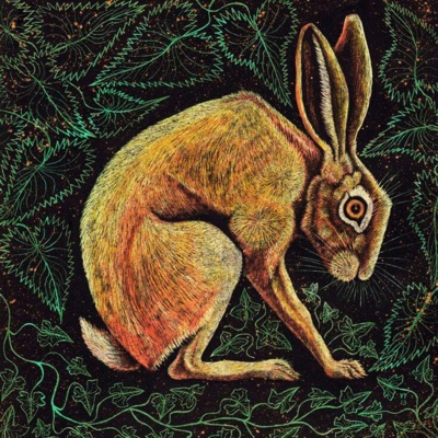 The Tortoise and The Hare - Single