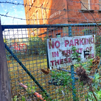 i wont let u go (feat. berruu) - Single