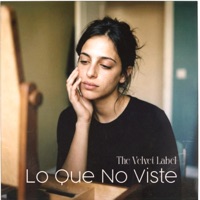 Lo Que No Viste - Single - The Velvet Label