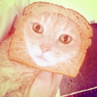 Pity Put (feat. Jjwak & Shaga) - Single - Artillery