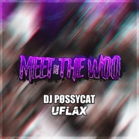 Meet The Woo 2022 - Single - DJ Pøssycat & Uflax