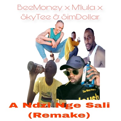 A Ndzi Nge Sali (feat. SkyTee & SimDollar) - Single