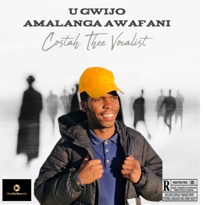 Amalang' awafani (feat. Costah Thee Vocalist) - Single