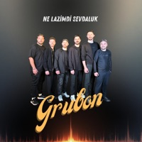 Ne Lazimdi Sevdaluk