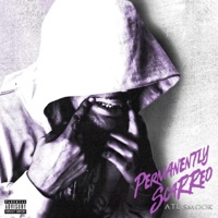 Permanently Scarred - Atl Smook