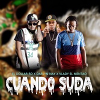 CUANDO SUDA (feat. Darlyn Nay & Vlady El Mentao) - Single - El Dollar RD